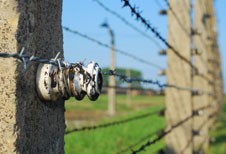 Auschwitz-Birkenau custom tours